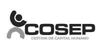 logo-cosep