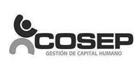 200x100-logo-cosep